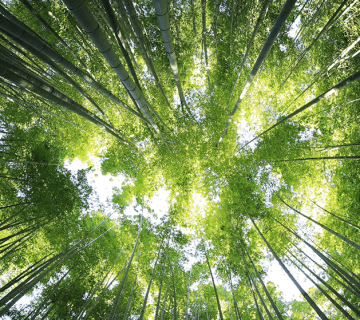 Promoting SDGs in the Face of Climate Change Challenges in Kenya: The Role of Evidence-Based Policy