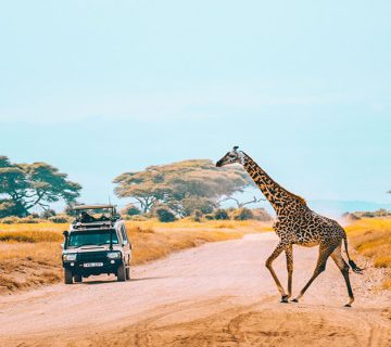 Kenya’s Endorsement of United Nation’s Pact on Climate Friendly Tourism Sector Significant